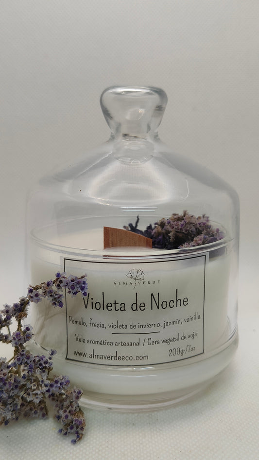 Violeta de Noche