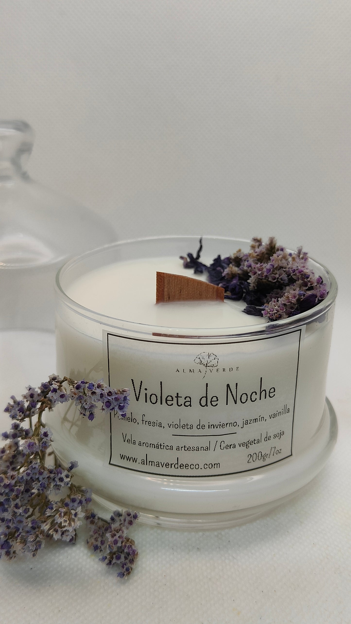 Violeta de Noche